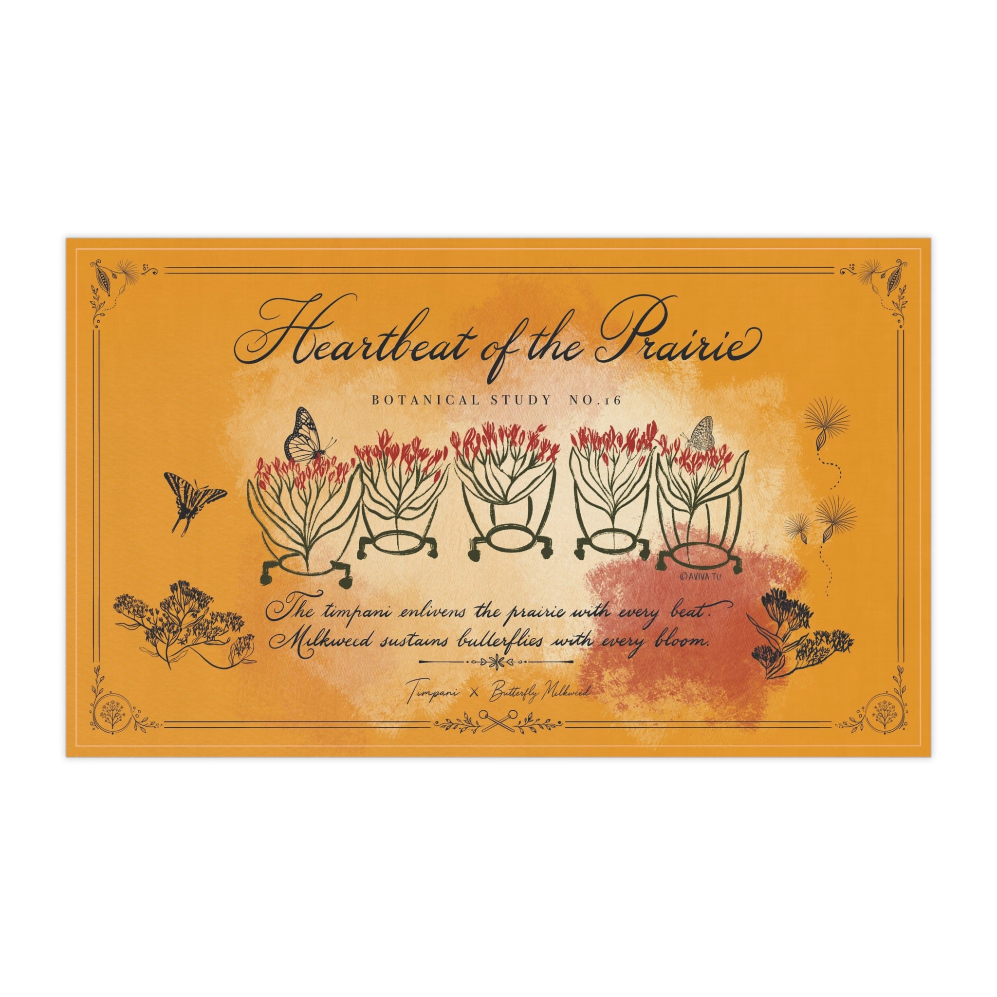 Timpani X Butterfly Milkweed Tea Towel — Botanical Study No.16